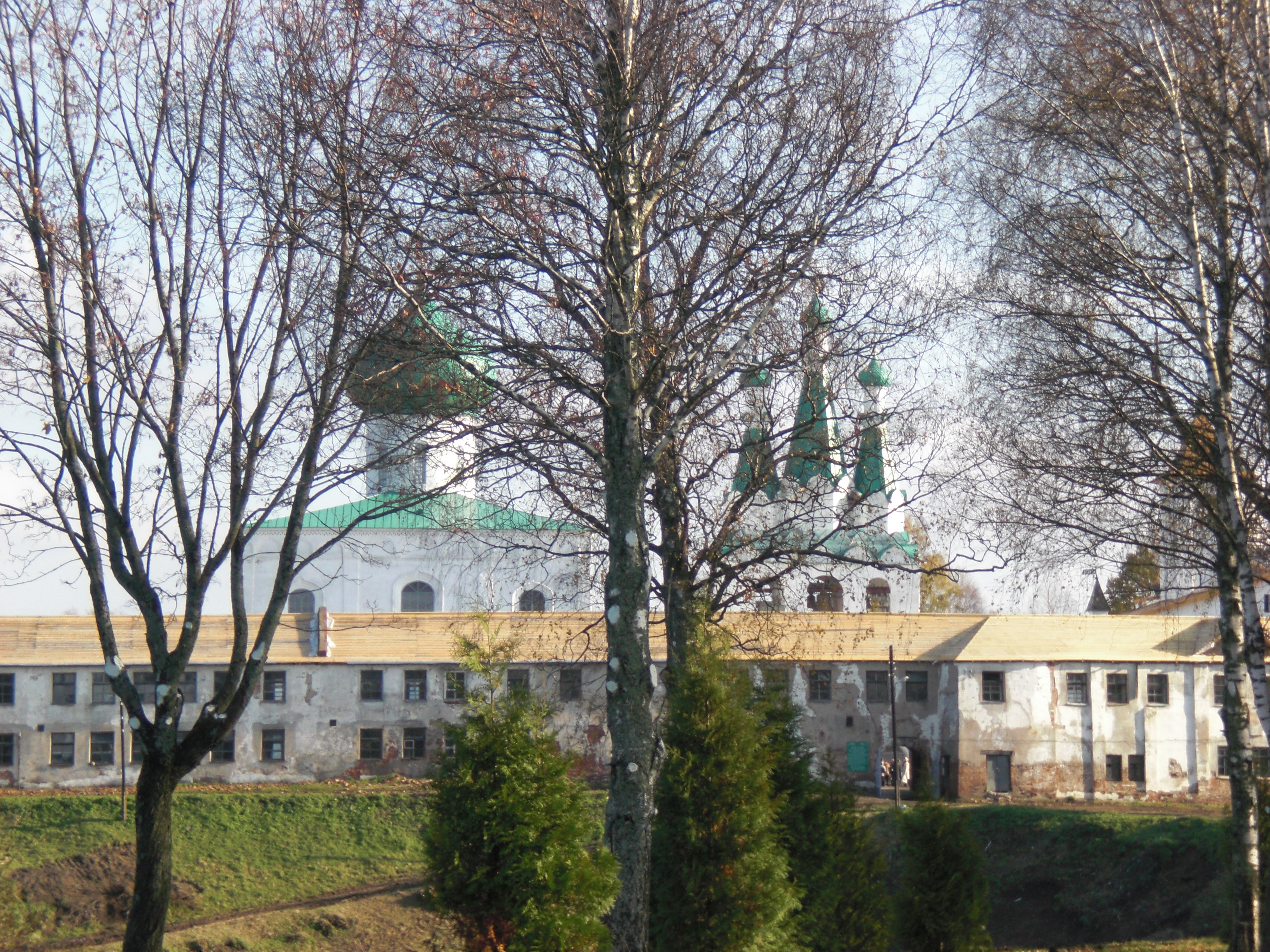CIMG0422.JPG