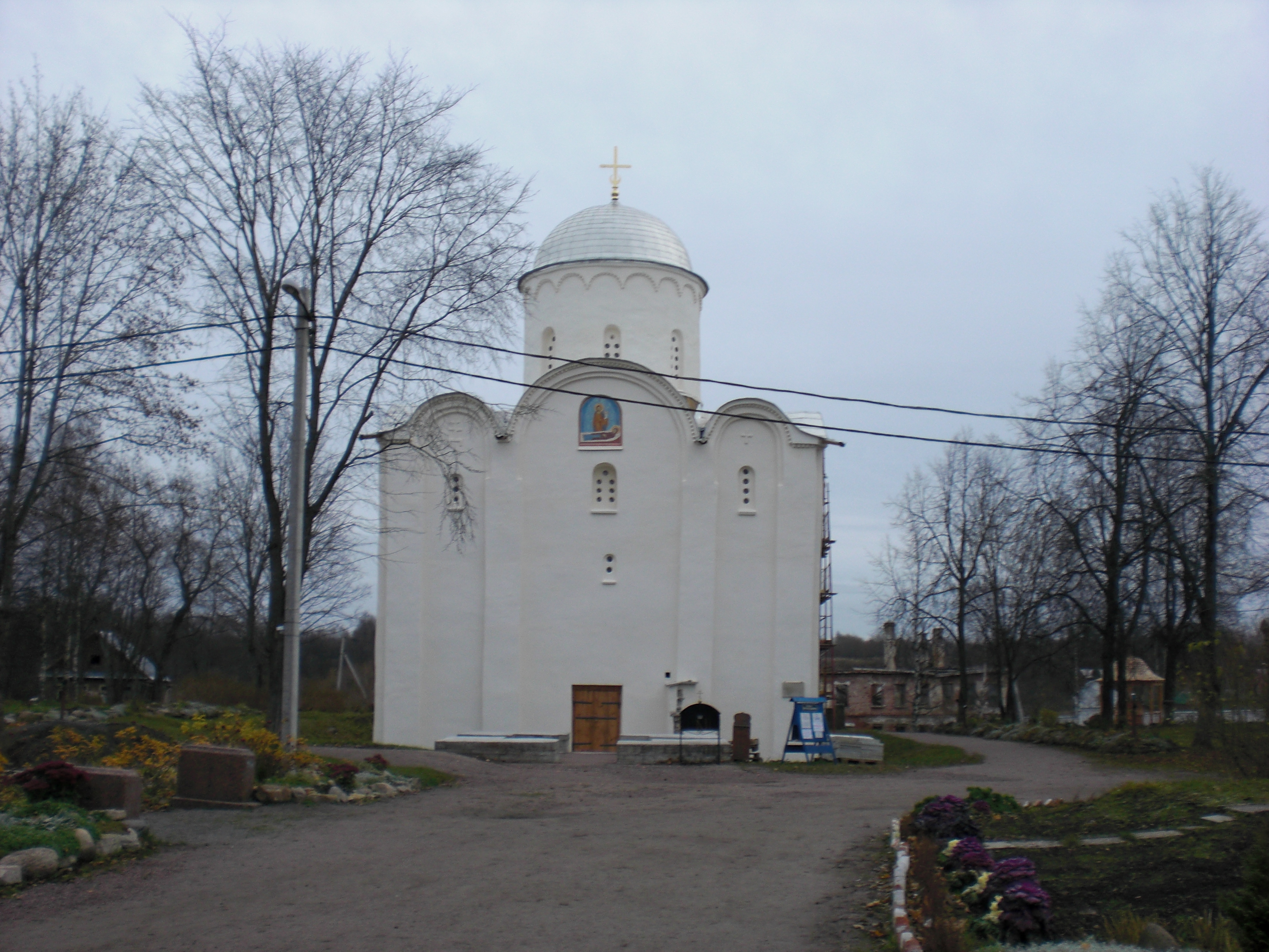 CIMG0115.JPG