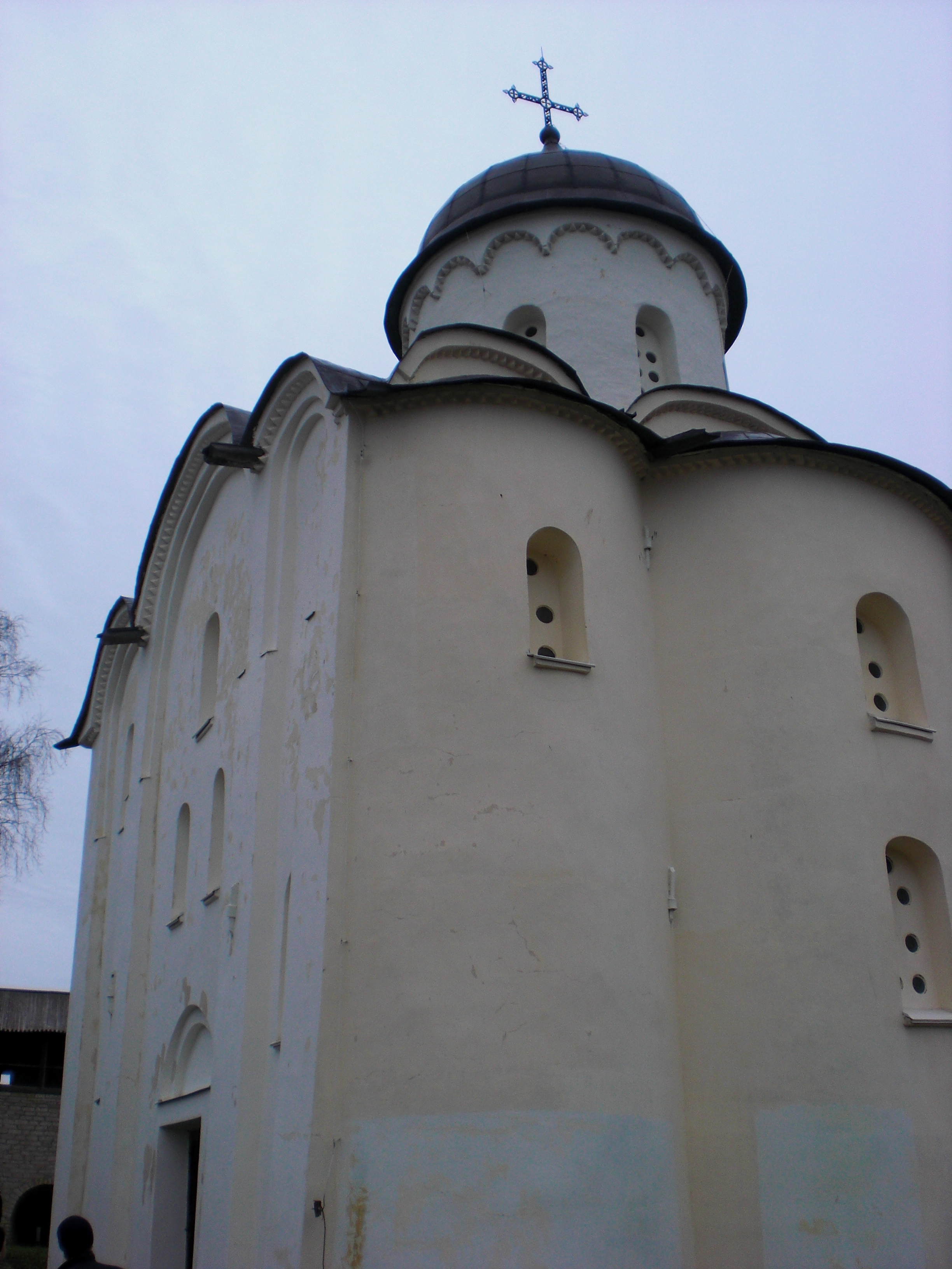 CIMG0251.JPG
