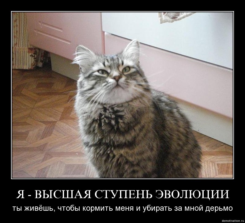 Demotivator_26.jpg