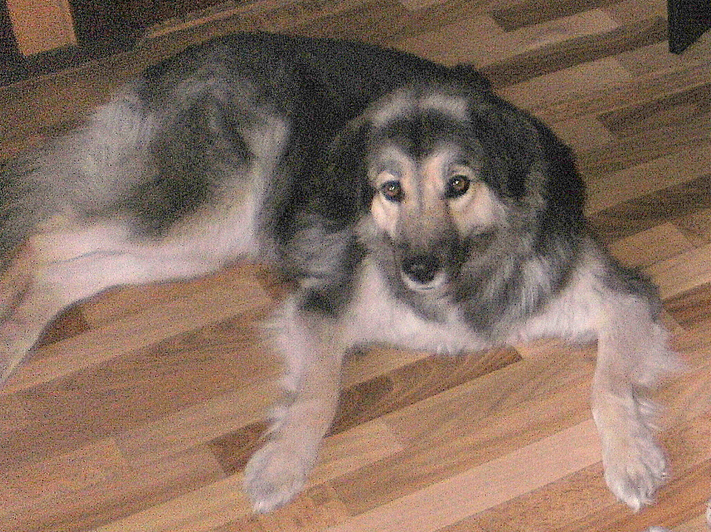 P1010001.JPG