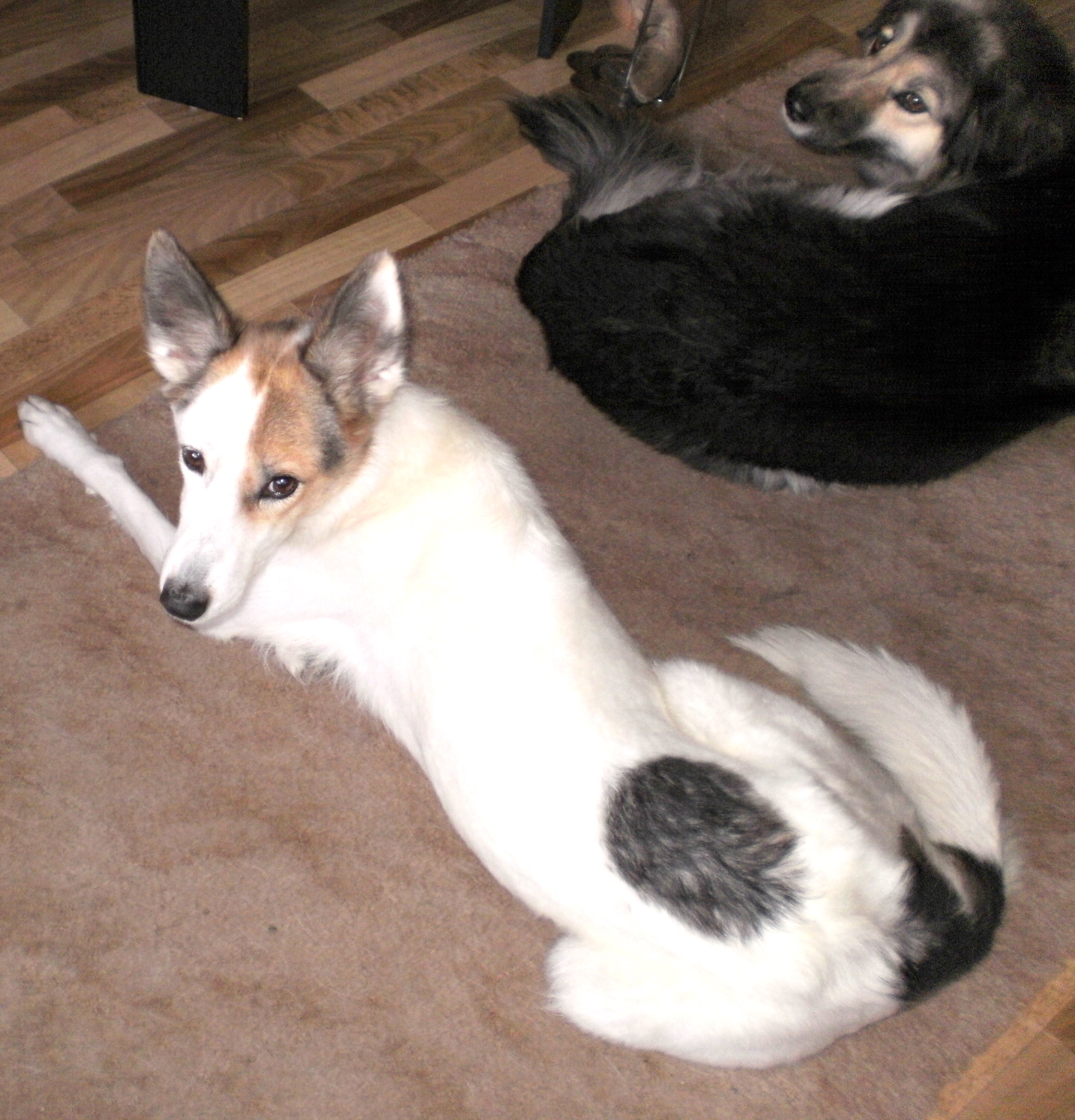 P1010003.JPG