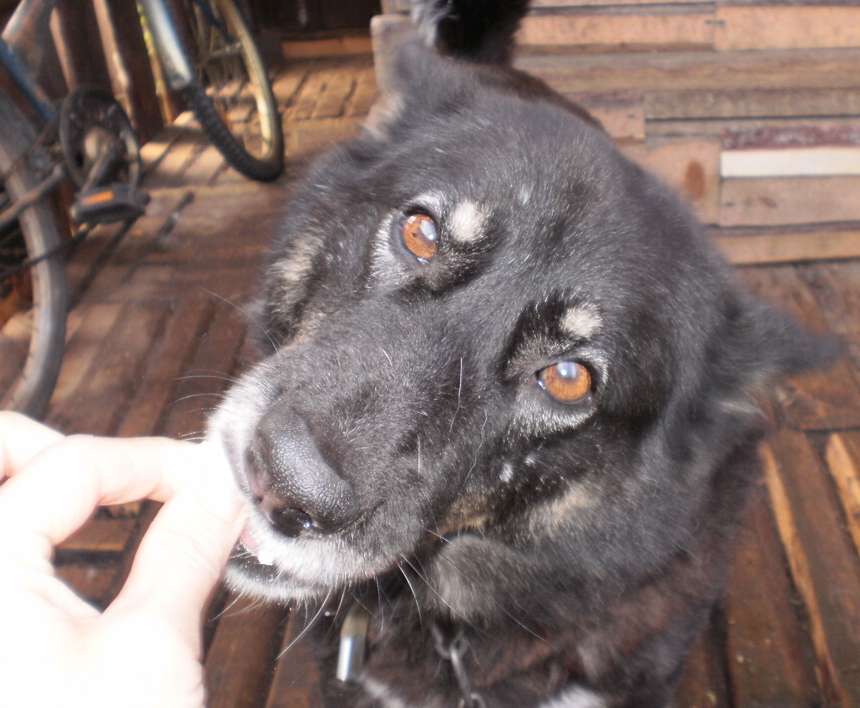 P1010008_1.JPG