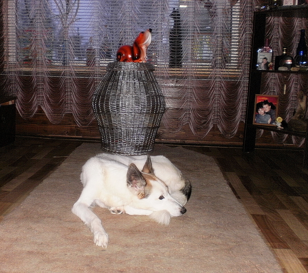 P1010001.JPG