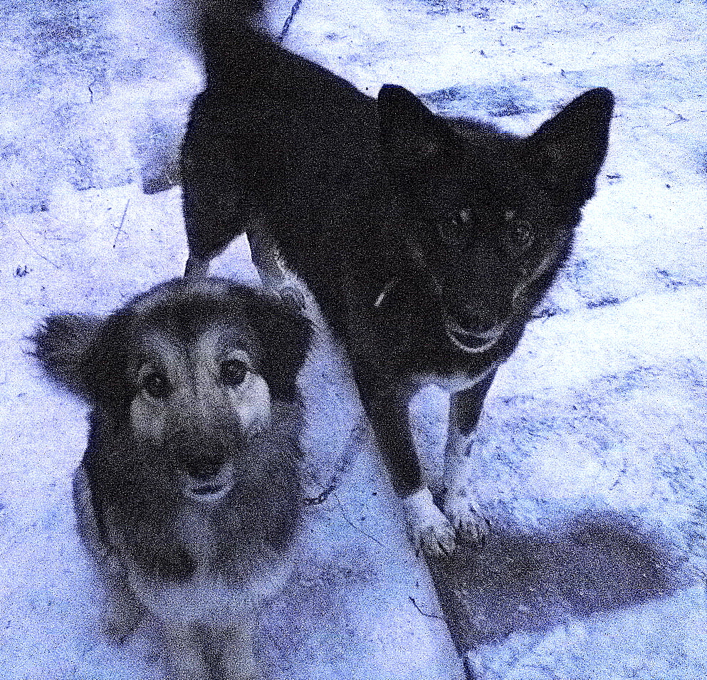 P1010007.JPG