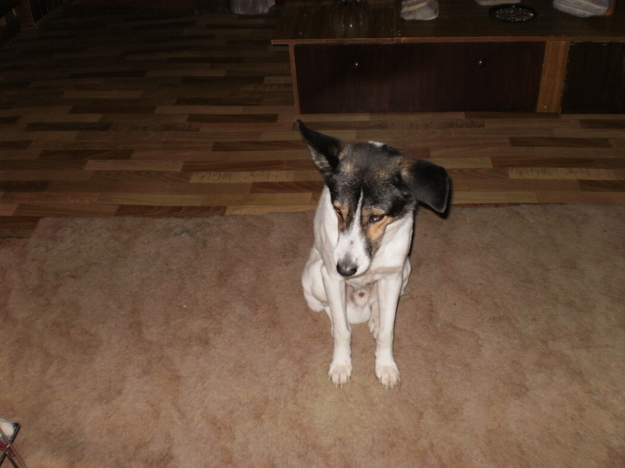 P1010081.JPG