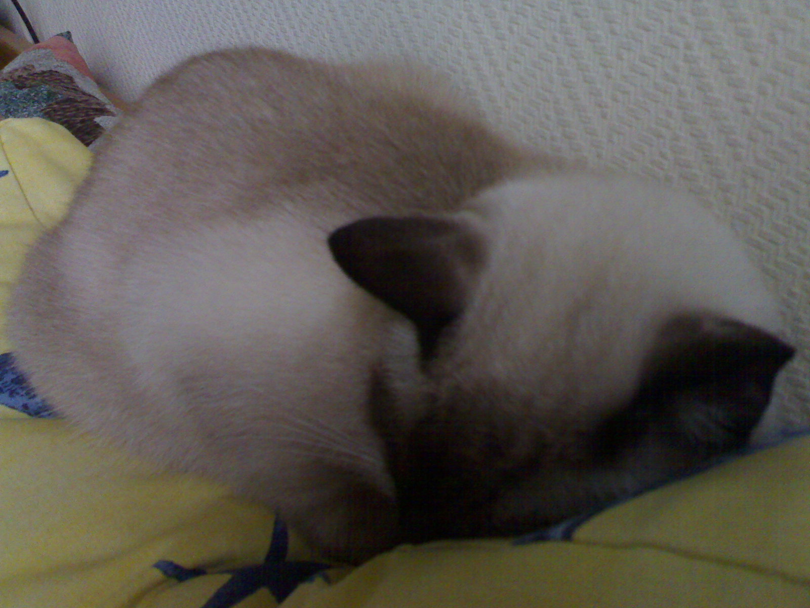 291020093394.jpg