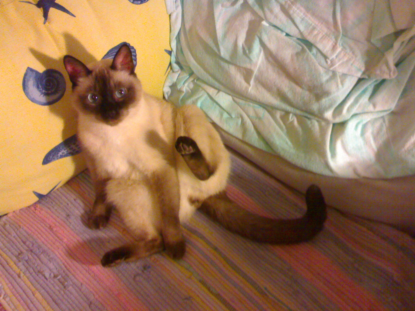 271020093386.jpg