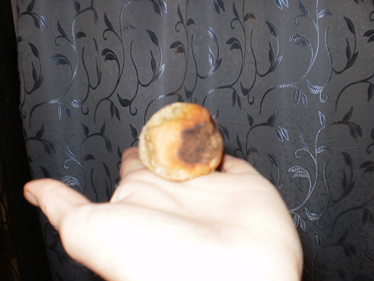 P1010200.JPG