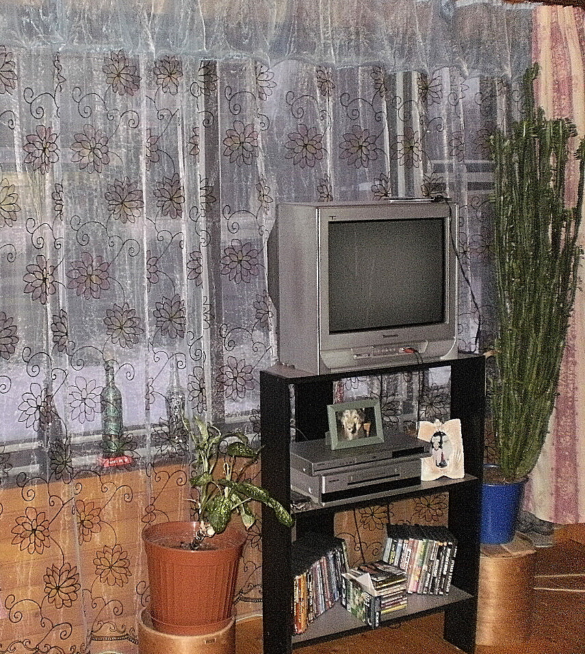P1010078.JPG
