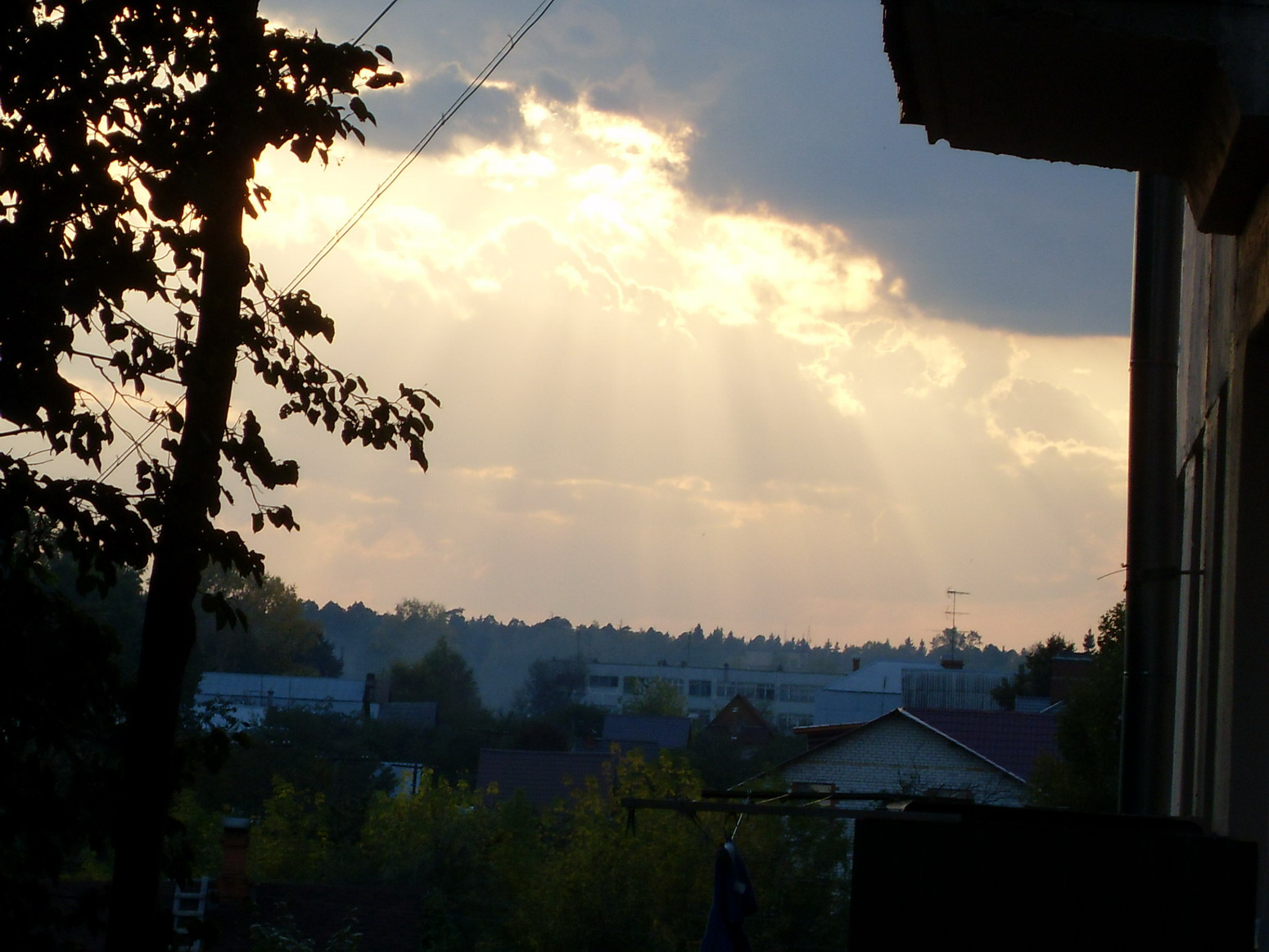SDC14675.jpg