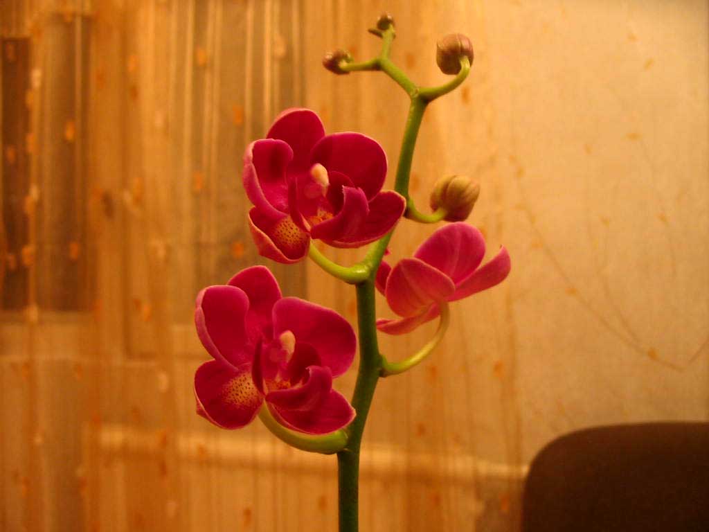 IMG_7546.JPG