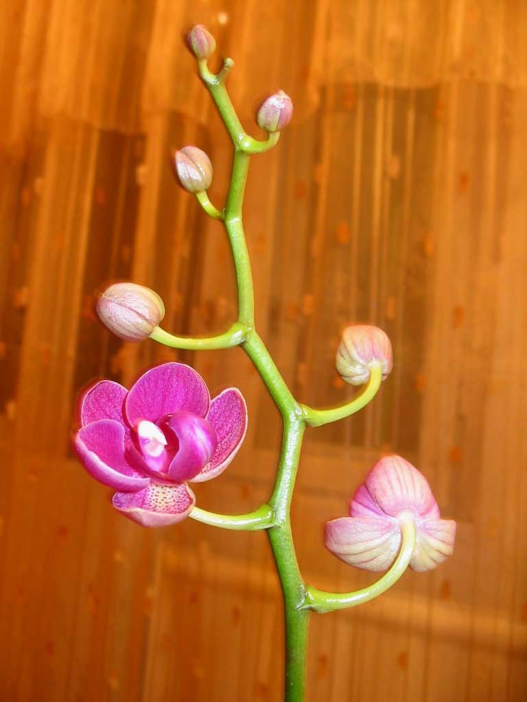 IMG_7539.jpg