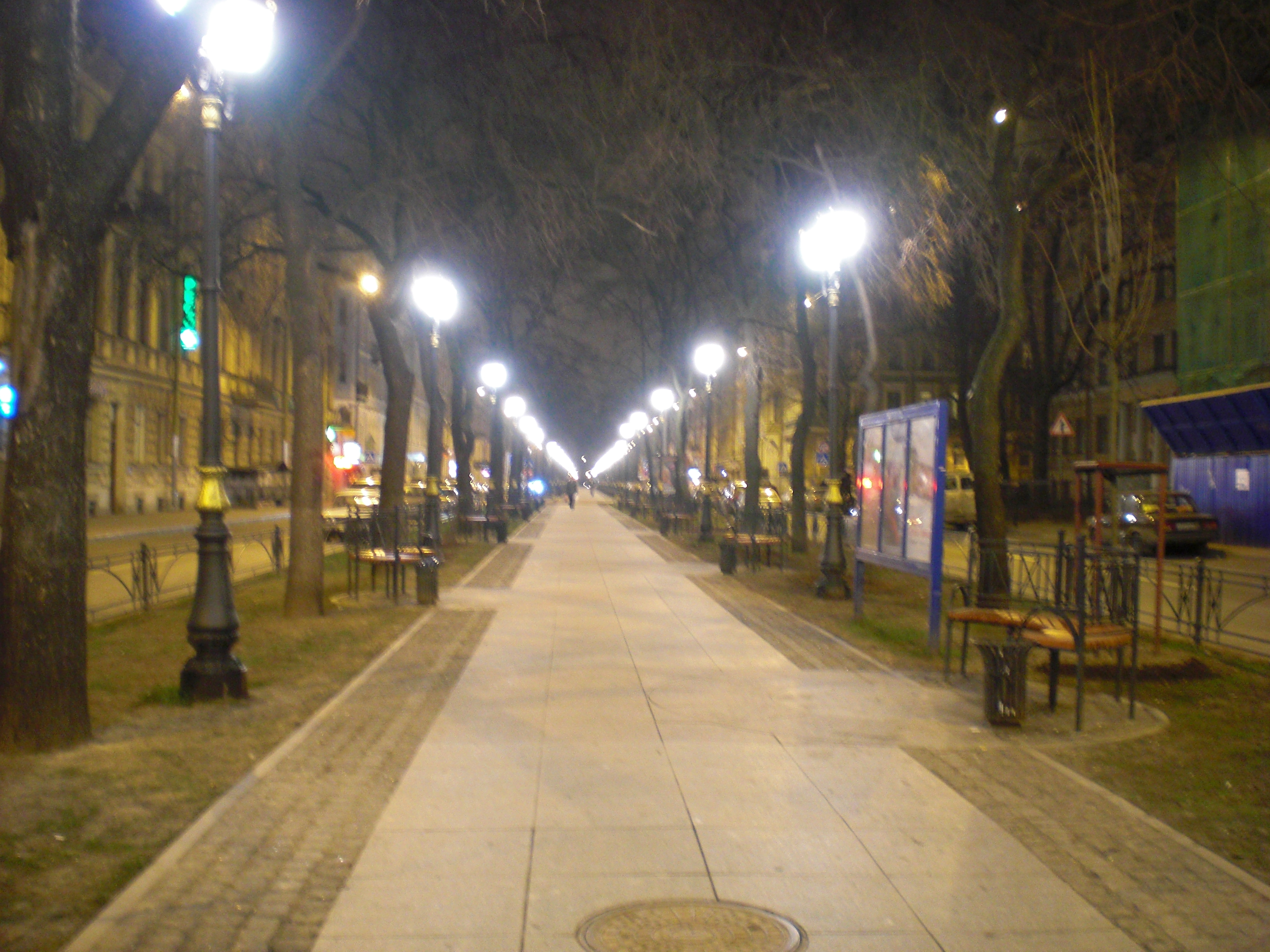 CIMG0560.JPG