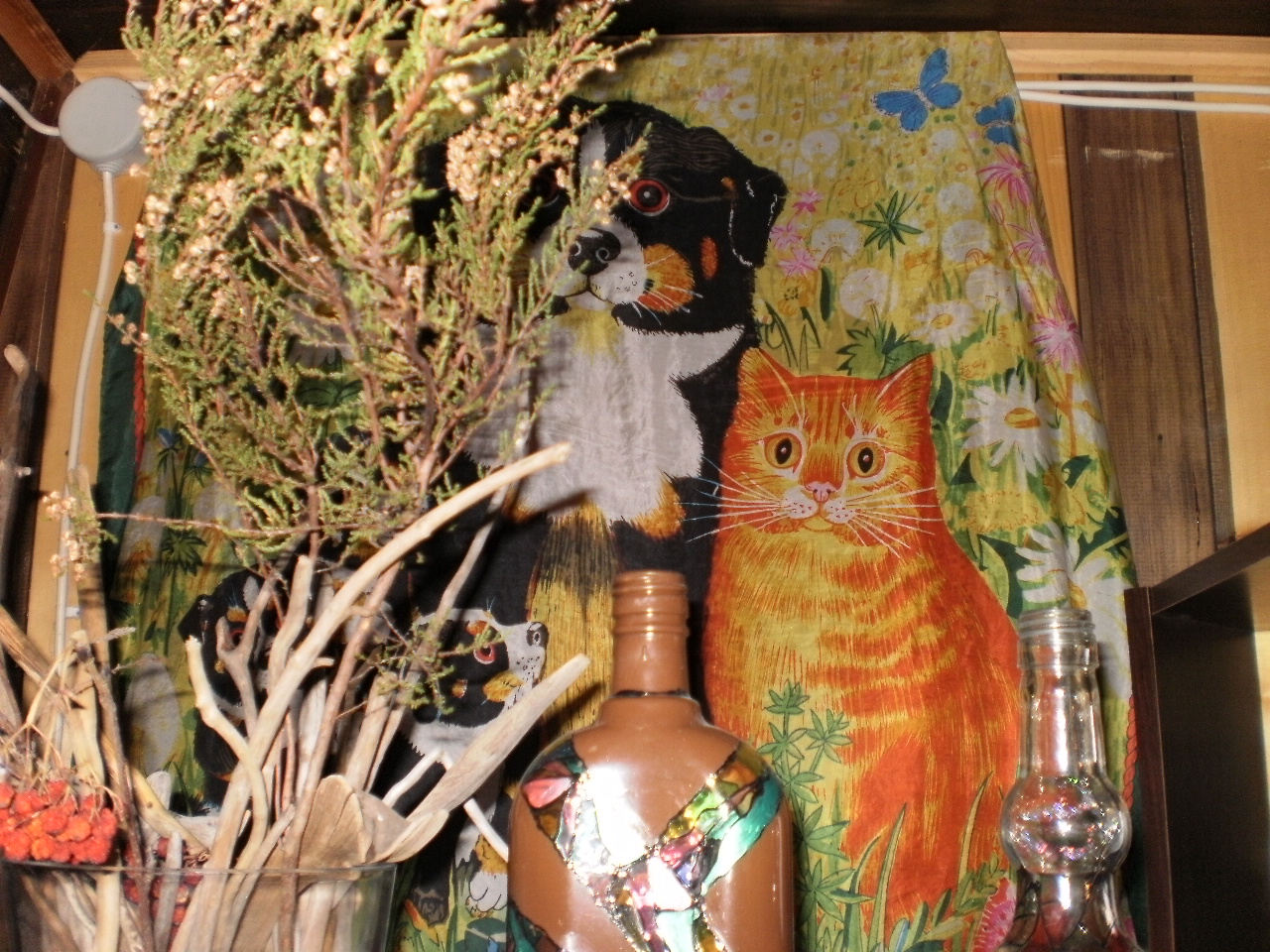 P1010061.JPG