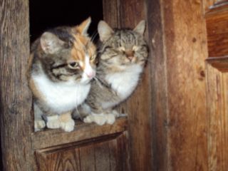 DSC00059.JPG