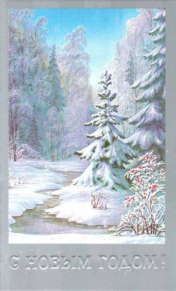 newyear02541201_1_.jpg
