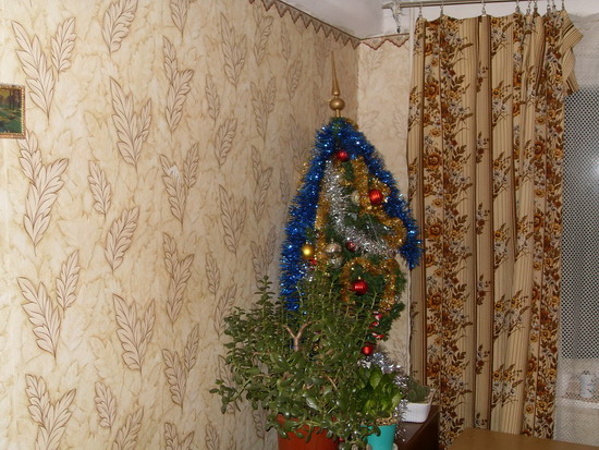 SDC14821.jpg