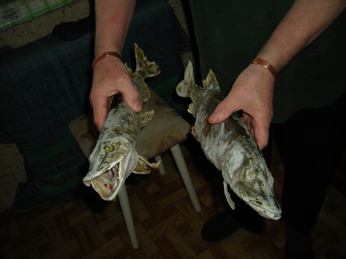 DSCN2824.jpg