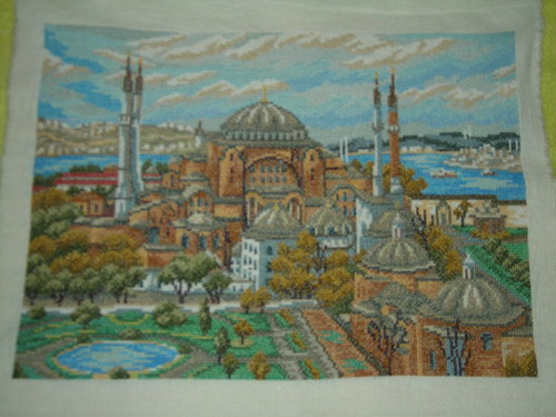 DSCN2833.jpg