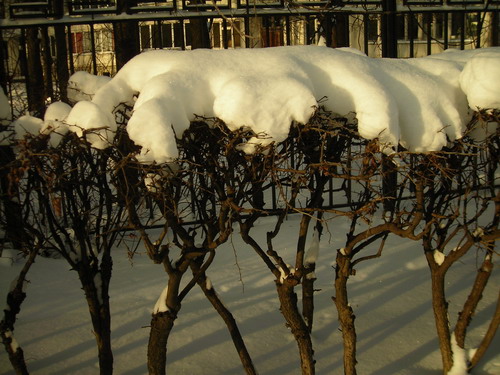 DSCN2845.jpg