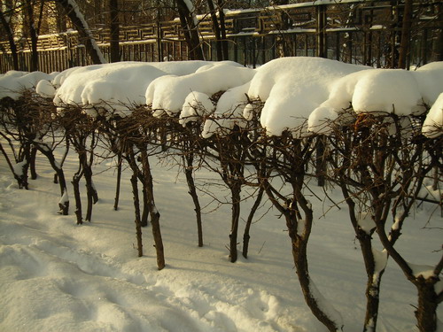 DSCN2846.jpg