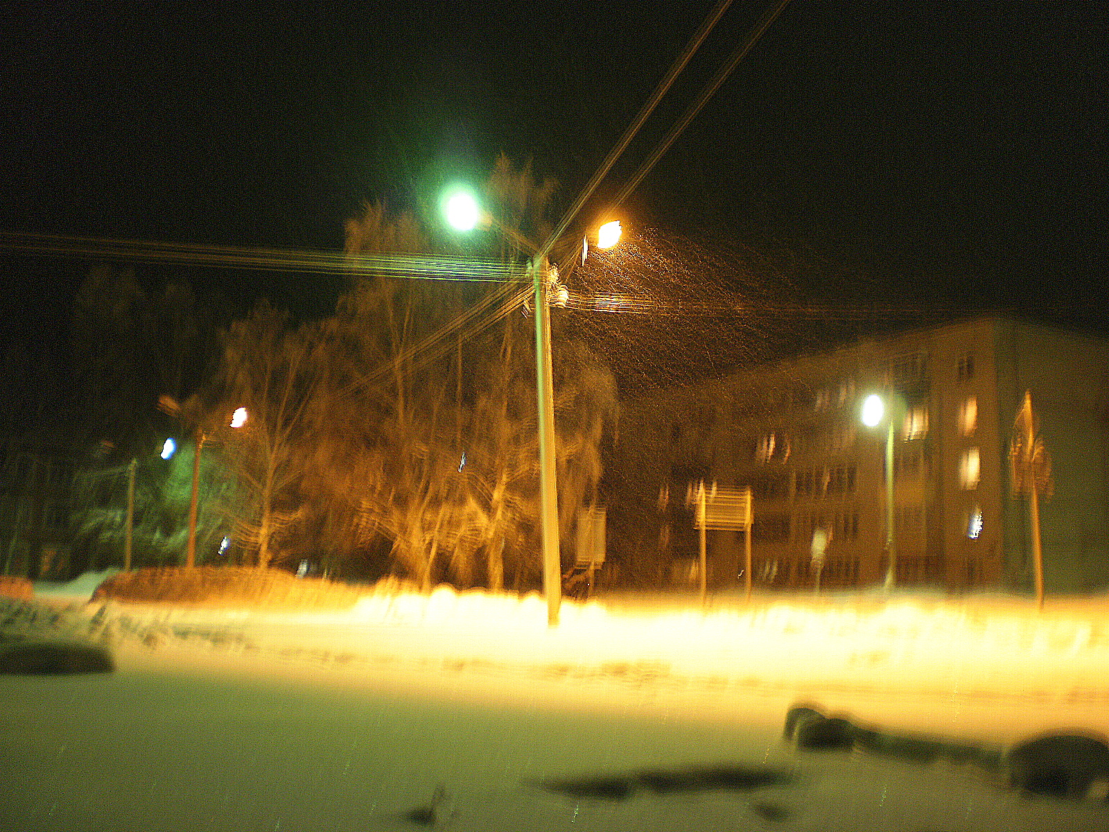 P1010593.JPG