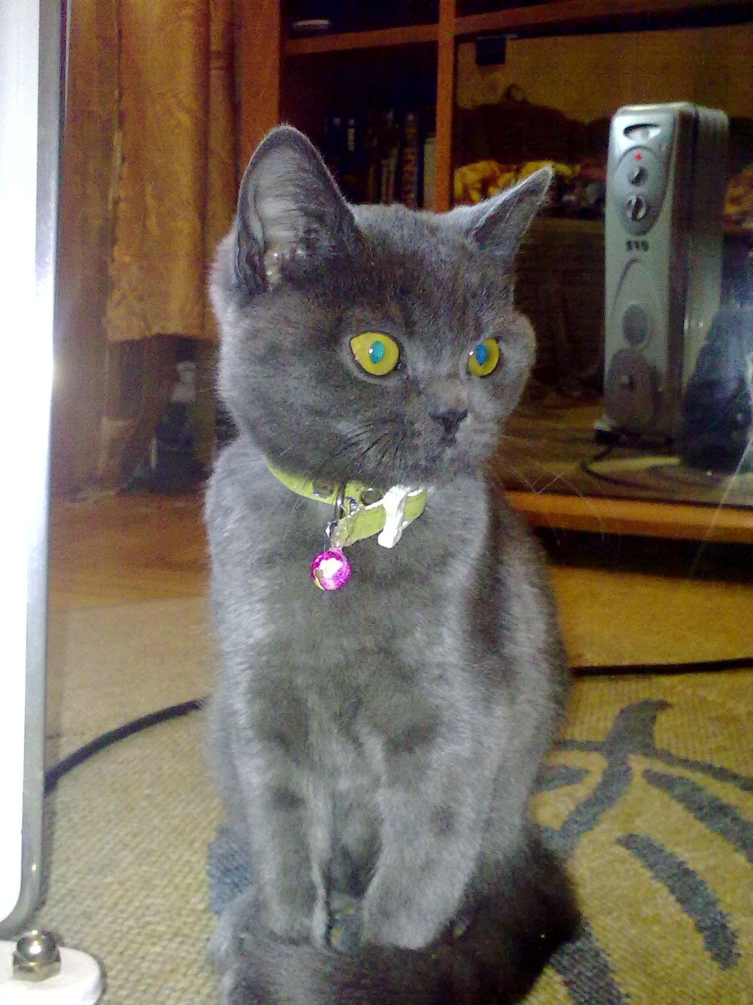 12122009009.jpg