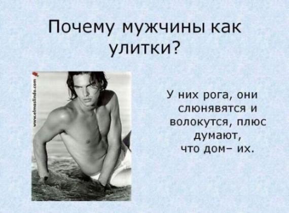ed8a2731a04b434d9e86b979d328e88c_big.jpg