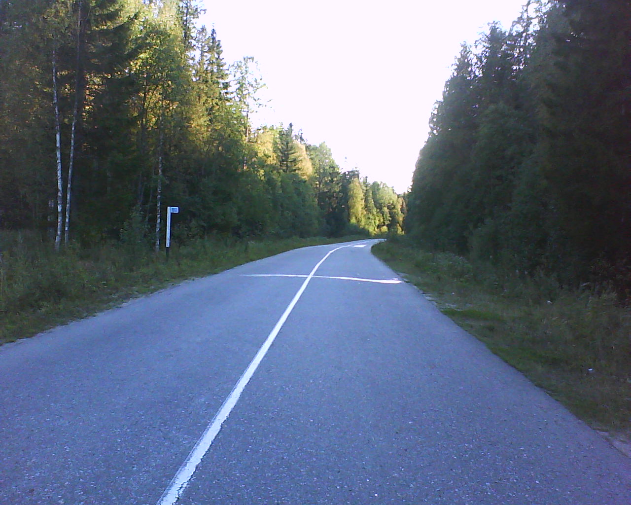 DSC04794.JPG
