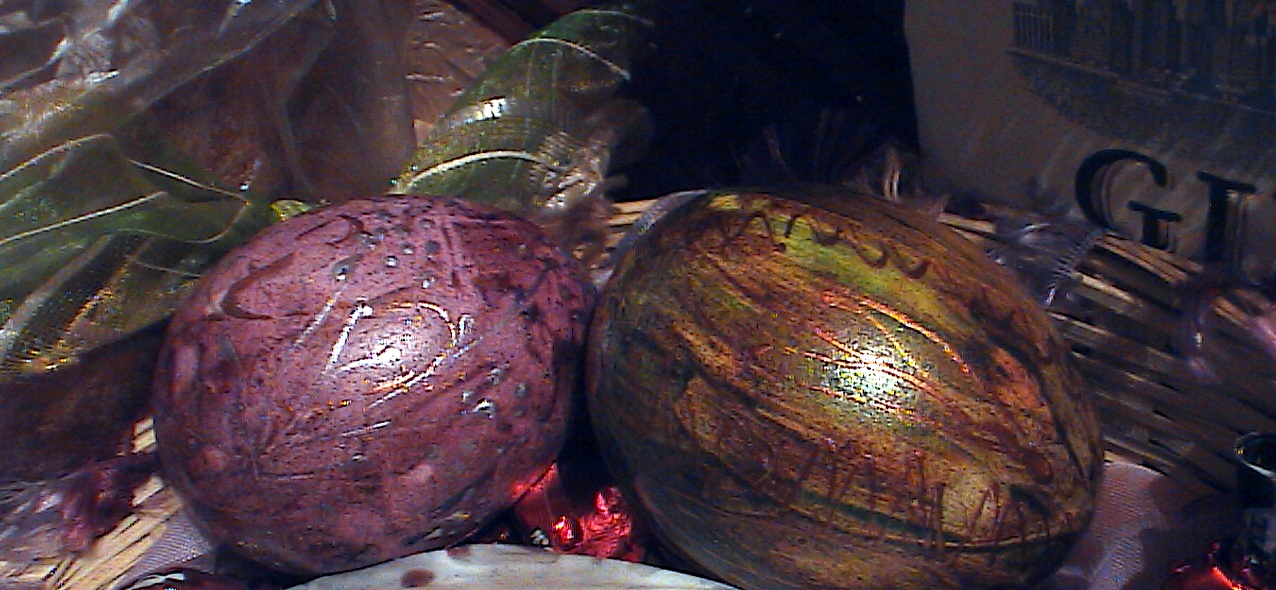 HPNX6185.JPG