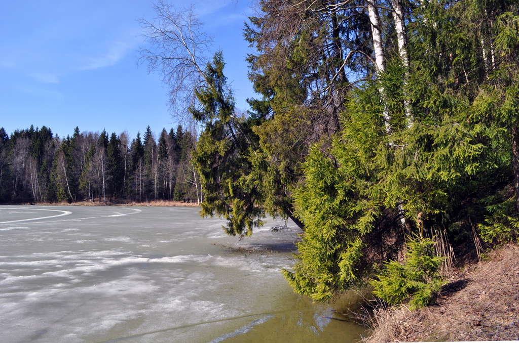 DSC_0071.jpg