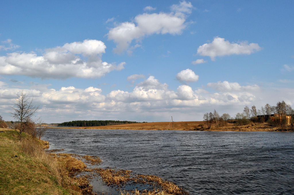 DSC_0575______.jpg