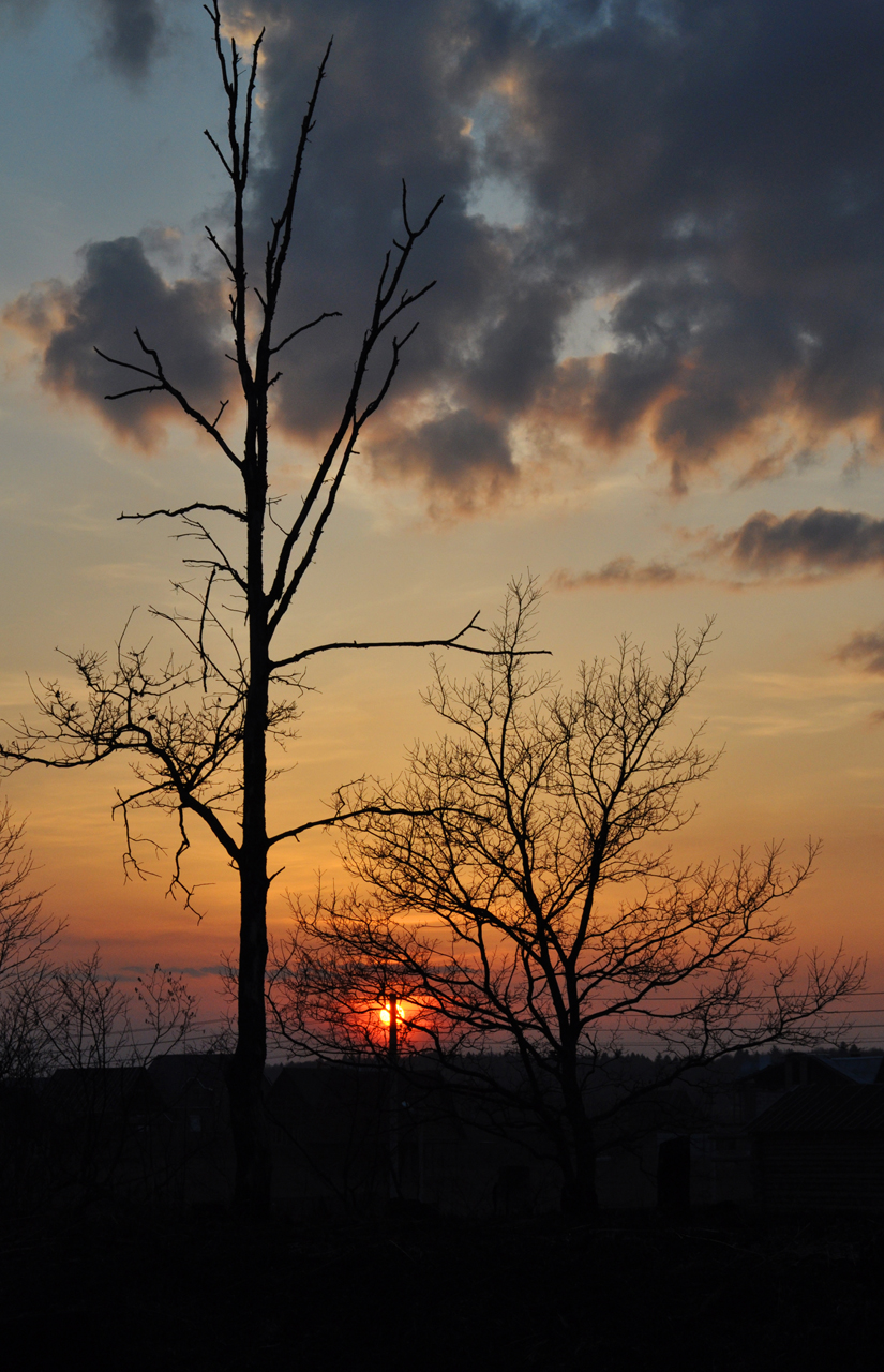 DSC_0305______.jpg