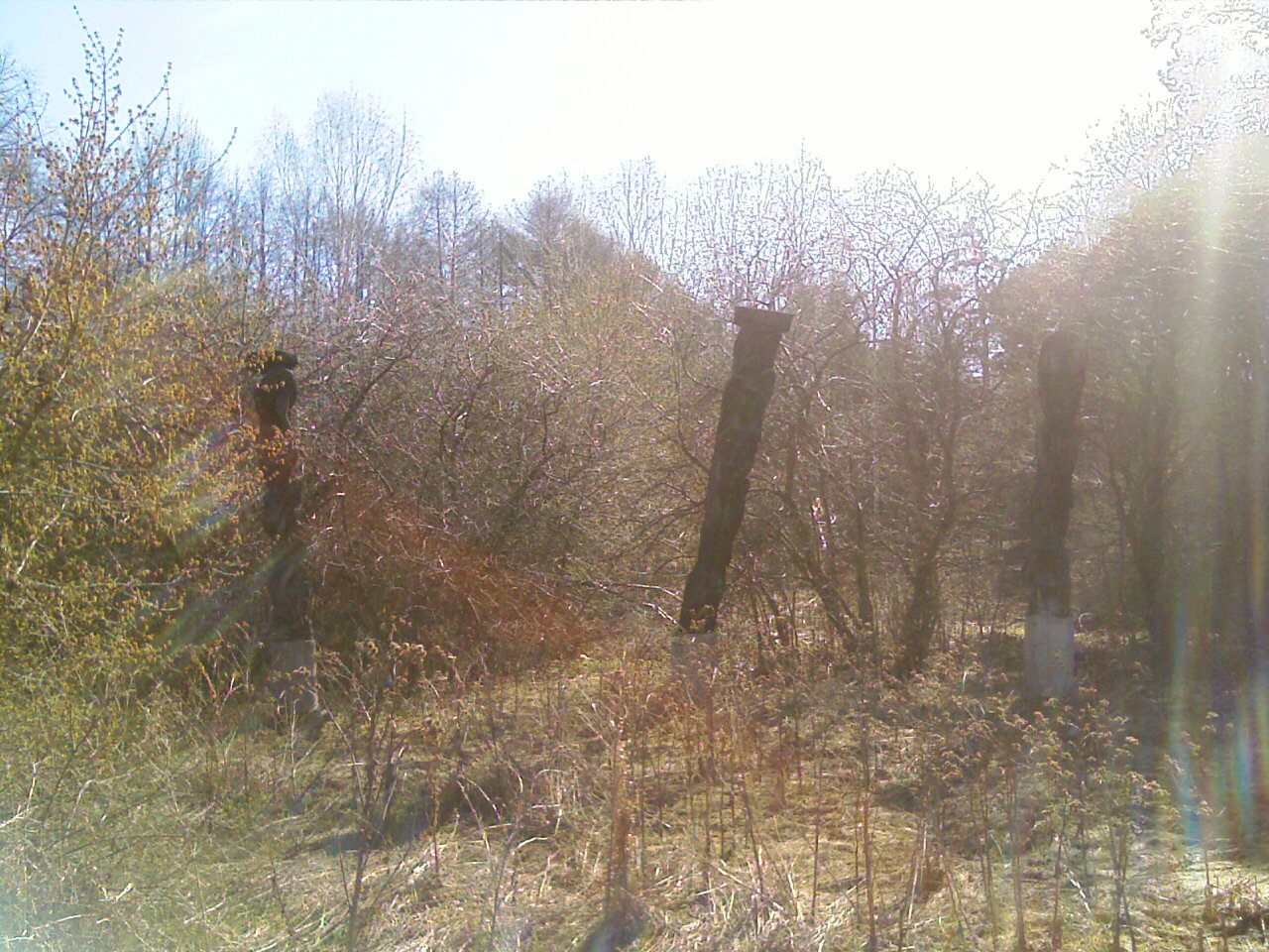 IMAGE_042.jpg