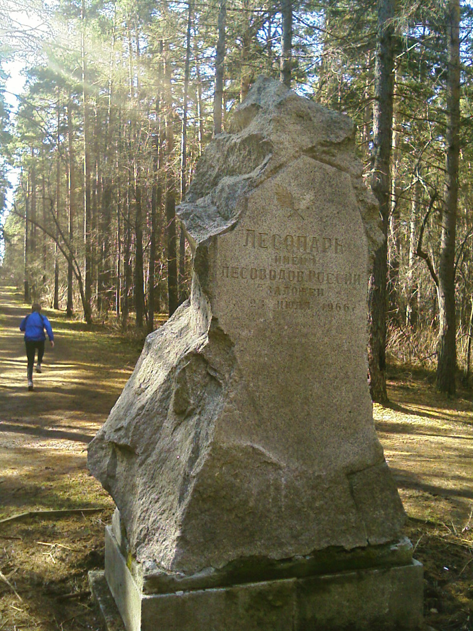 IMAGE_043.jpg