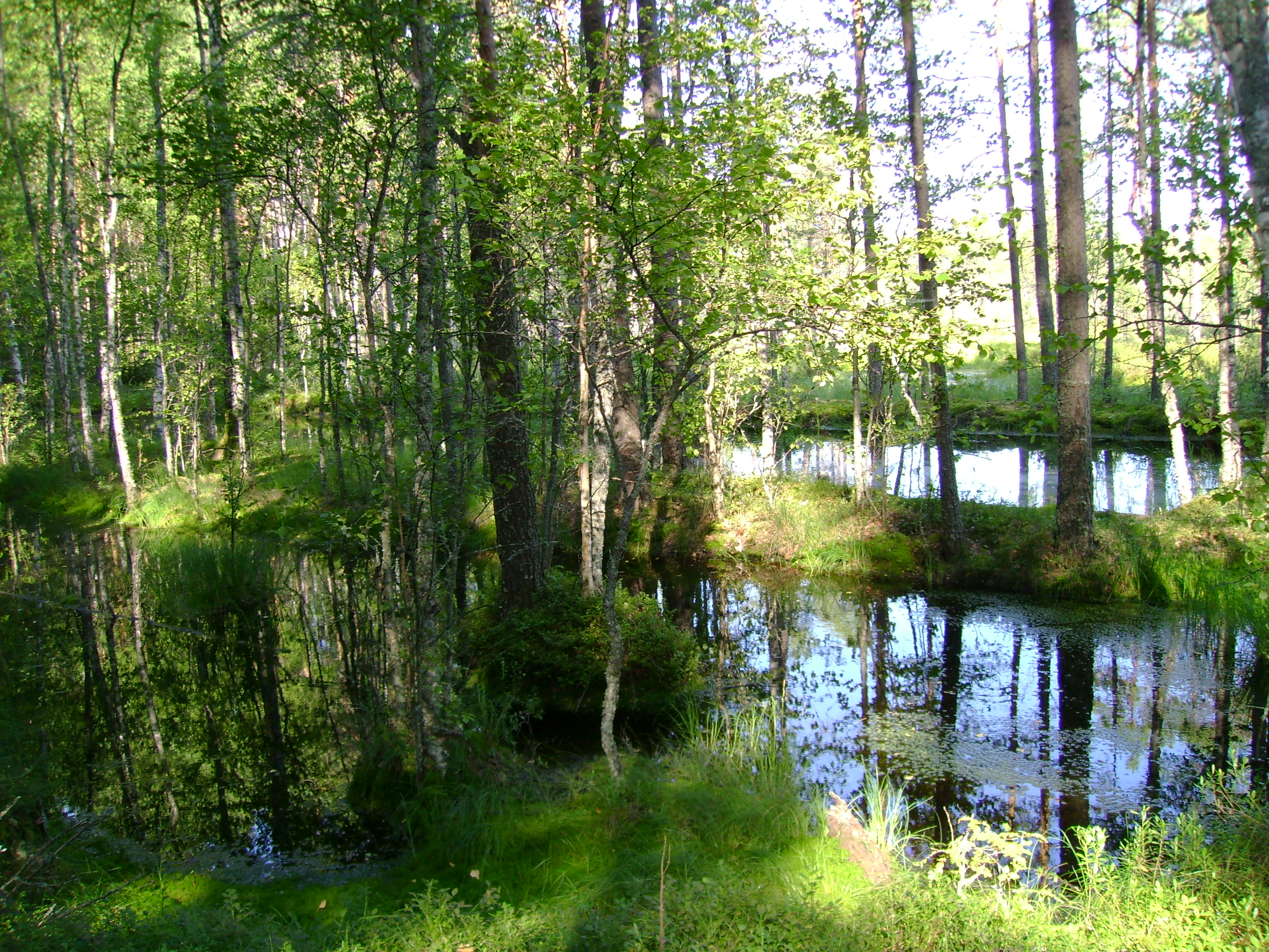 DSC01435.JPG