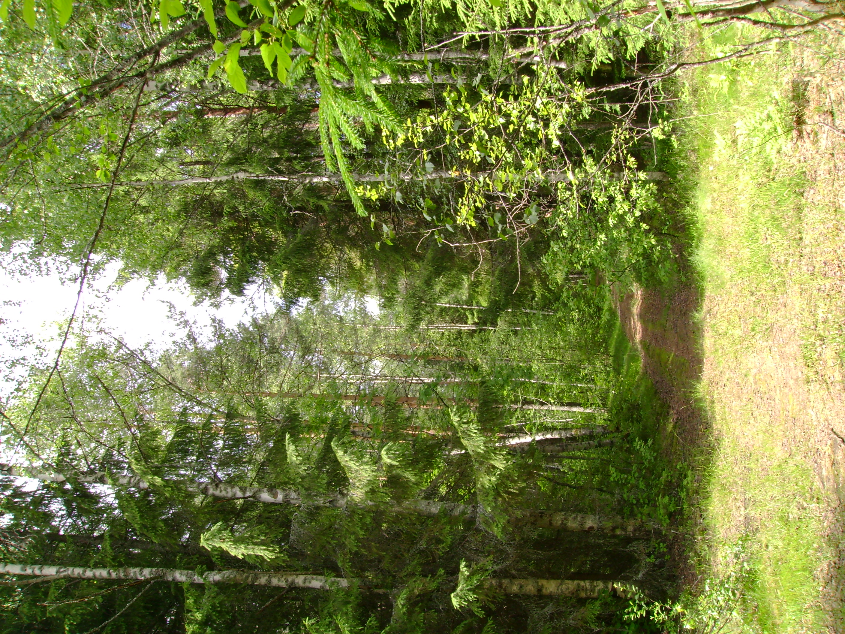 DSC01362.JPG