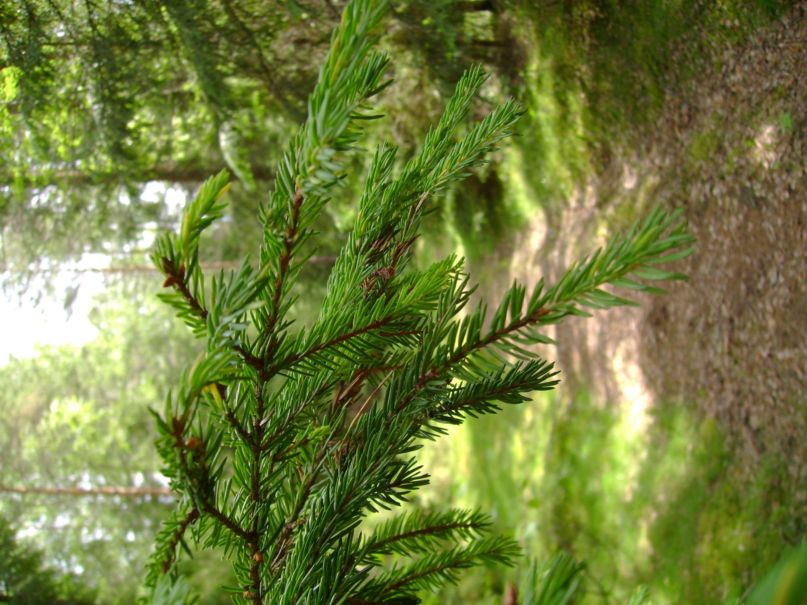 DSC01358.JPG
