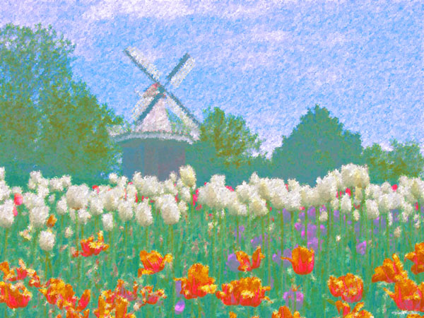 post_68029_1202156378.jpg