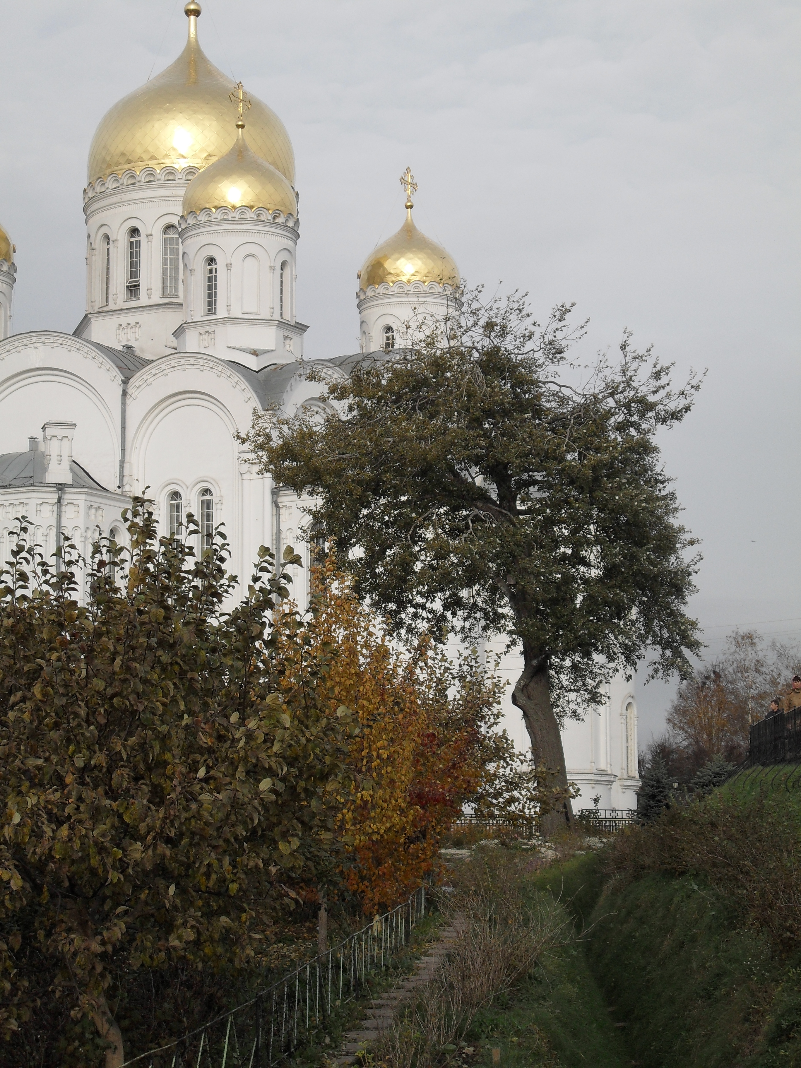 SDC10098.JPG