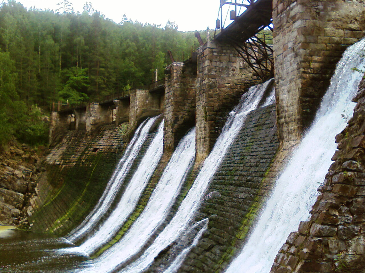 IMAGE_229.jpg