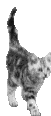___.gif