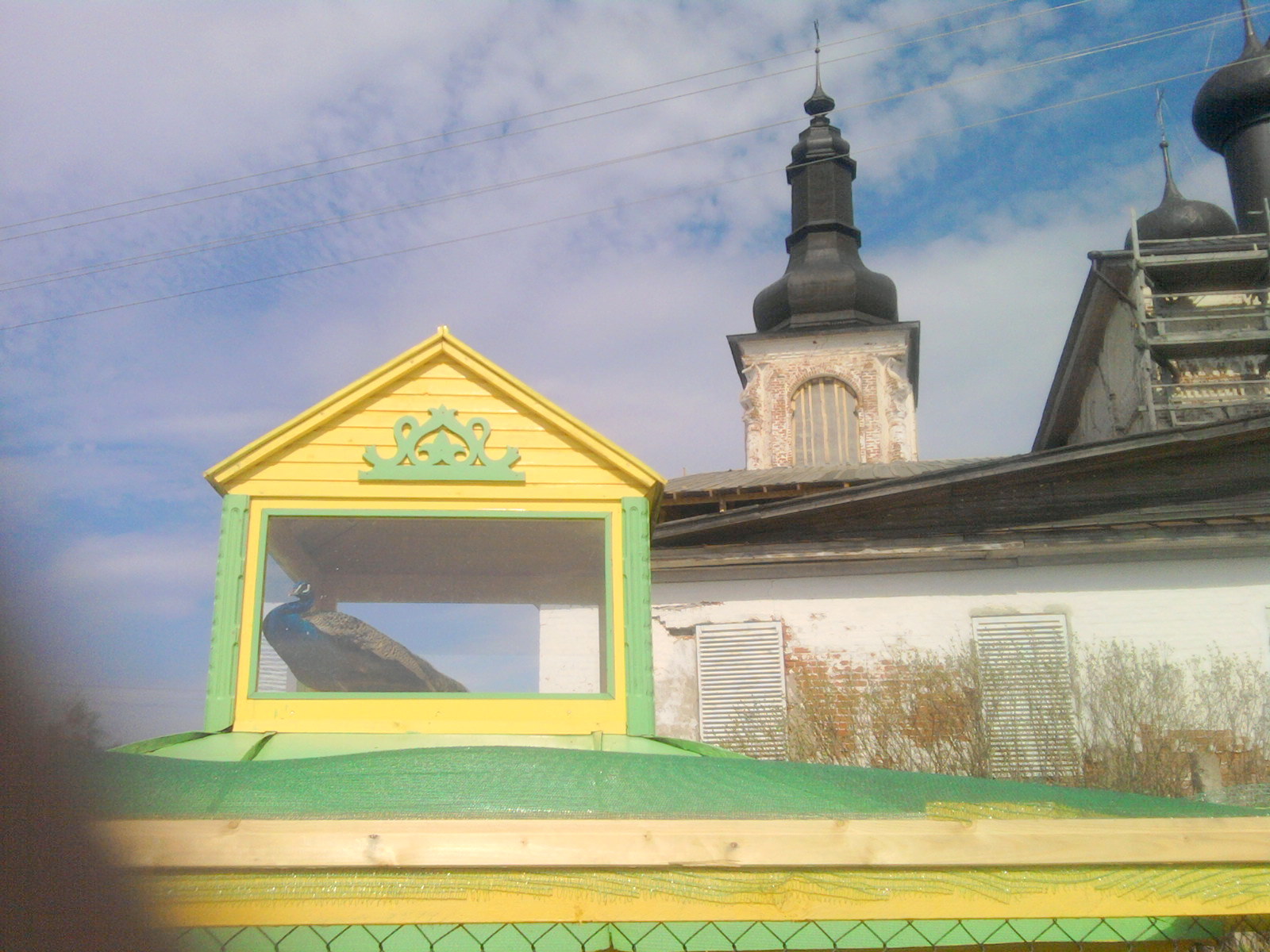 SP_A0767.jpg