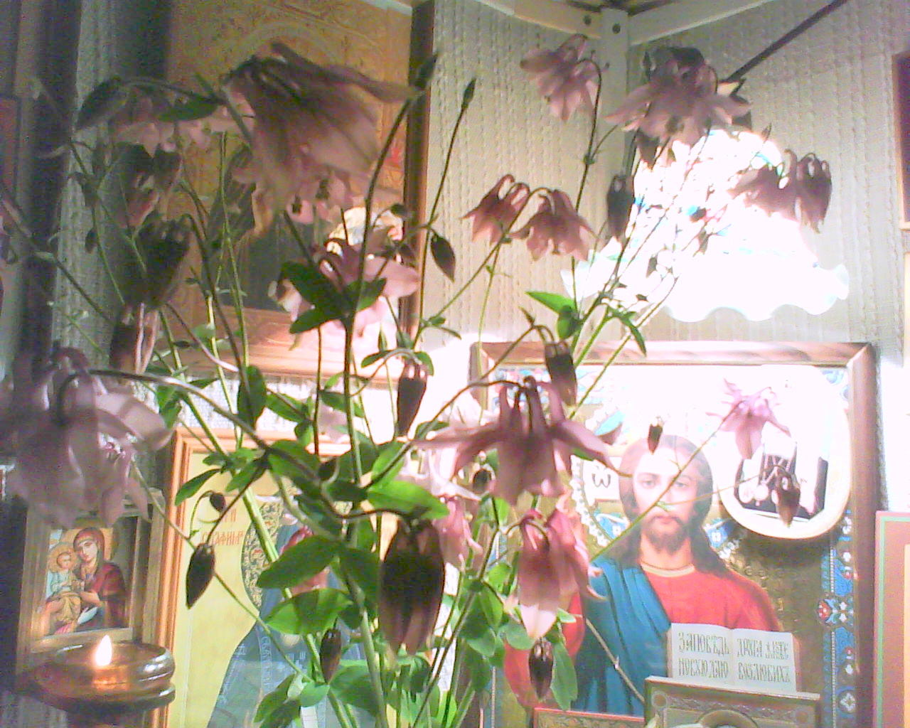 DSC05138.JPG