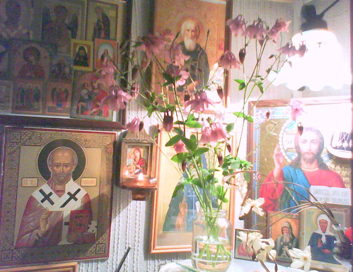 DSC05139.JPG