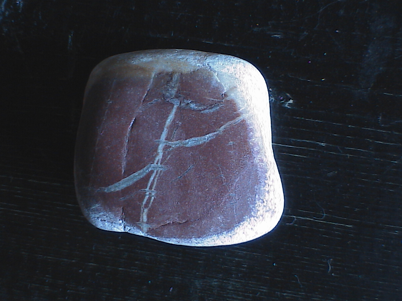 HPNX6385.JPG