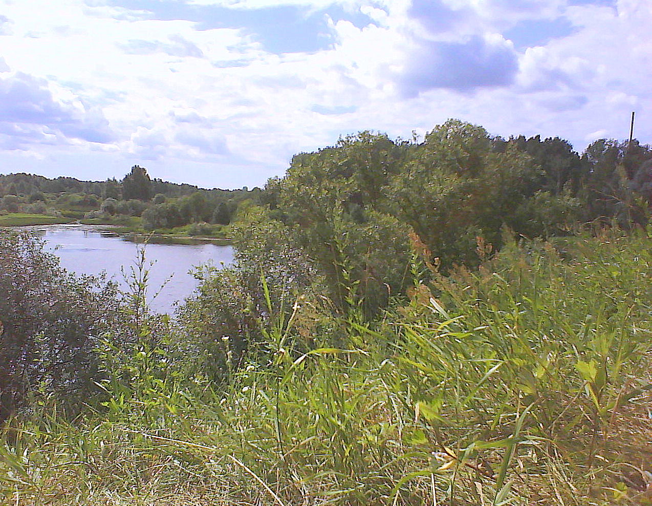 DSC05303.JPG