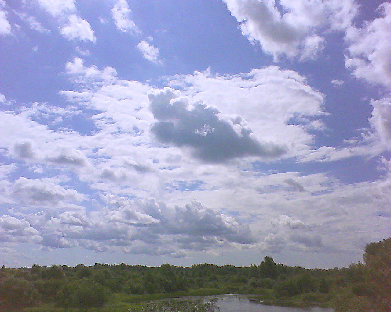 DSC05302.JPG