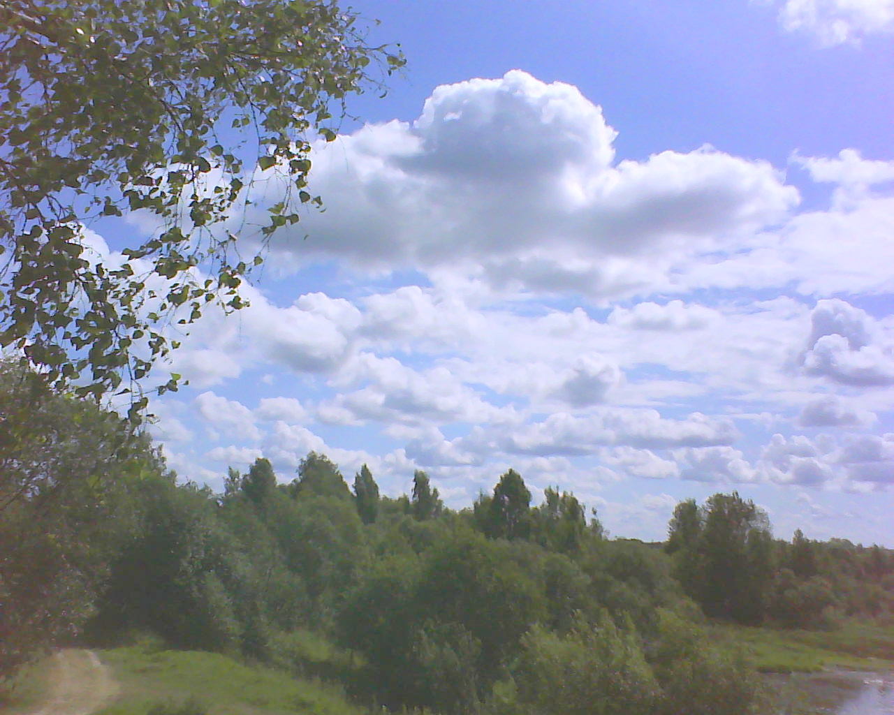 DSC05301.JPG